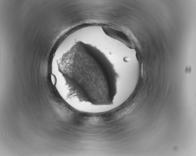 X0000093620204200711121243