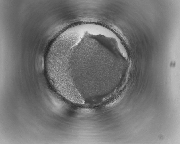 X0000093620205200711121243