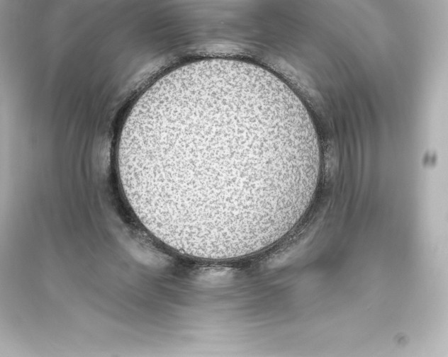 X0000093620206200711121243