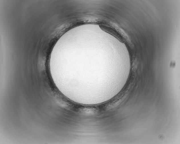 X0000093620209200711121243