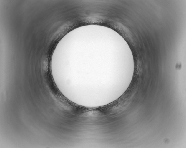 X0000093620210200711121243