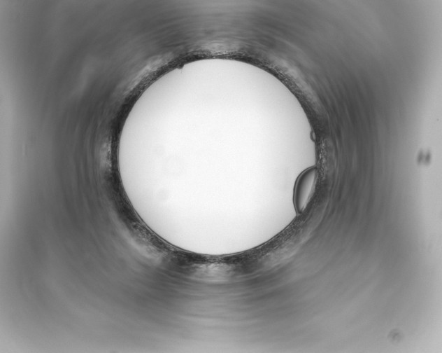 X0000093620212200711121243