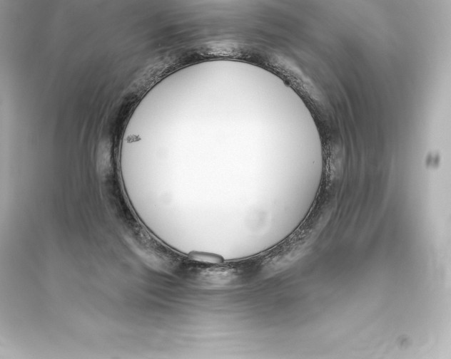 X0000093620213200711121243