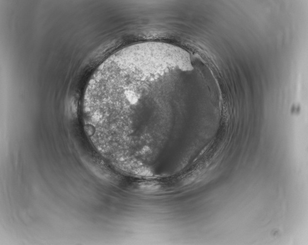 X0000093620214200711121243