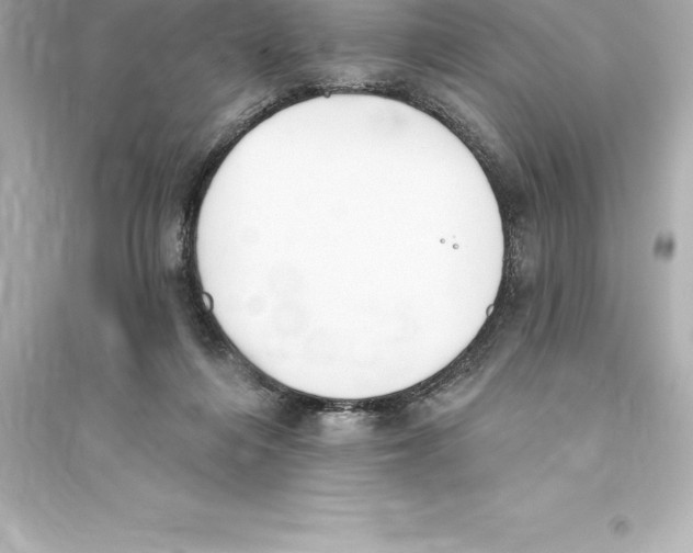 X0000093620216200711121243