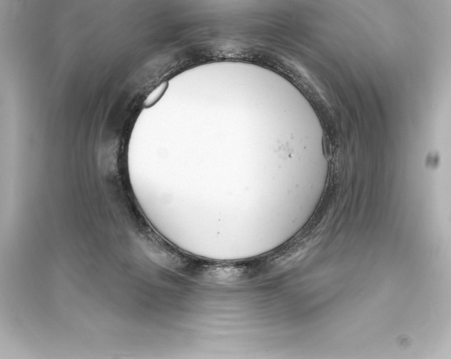 X0000093620217200711121243