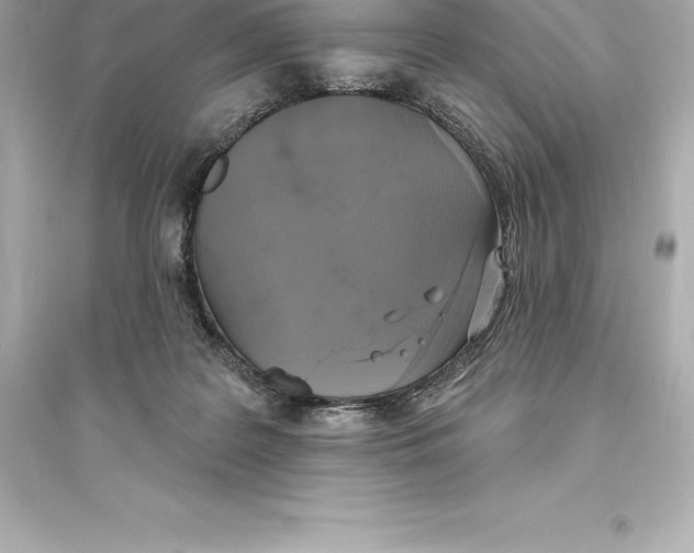 X0000093620219200711121243