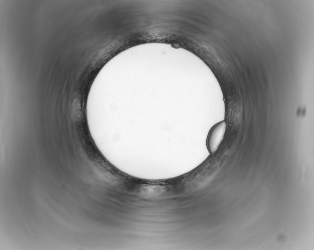 X0000093620220200711121243