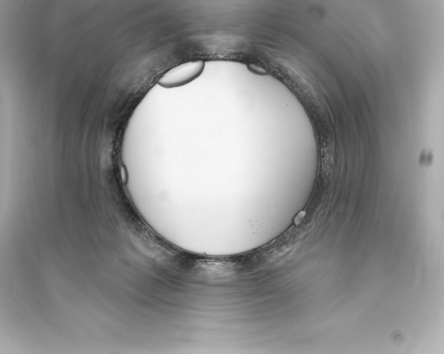 X0000093620221200711121243