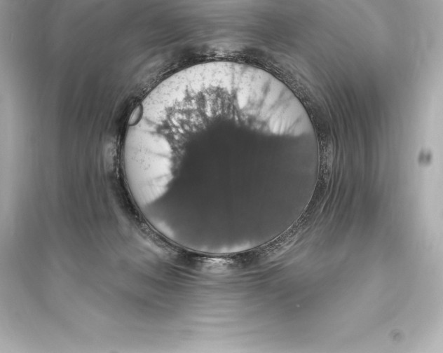 X0000093620222200711121243