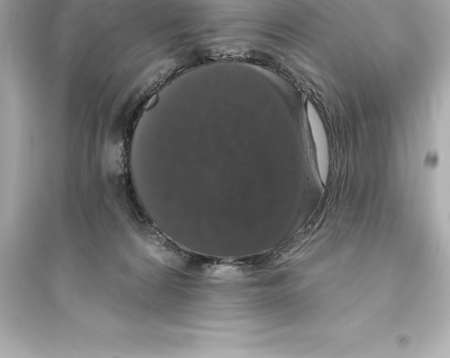 X0000093620224200711121243