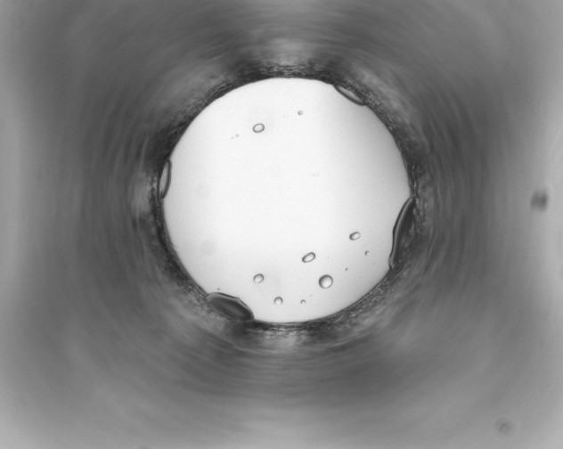 X0000093620225200711121243