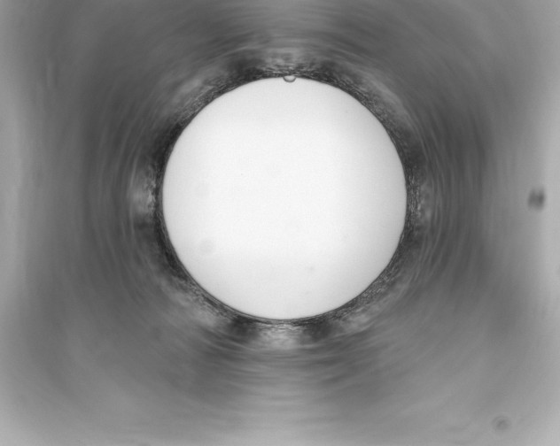 X0000093620226200711121243