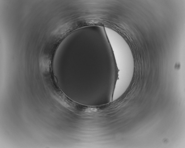 X0000093620227200711121243