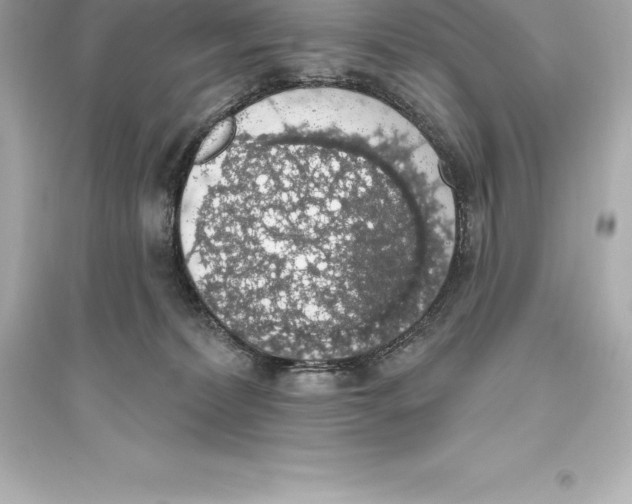 X0000093620228200711121243