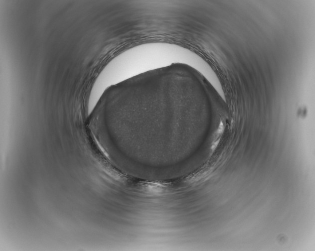 X0000093620229200711121243