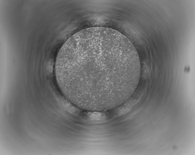 X0000093620230200711121243