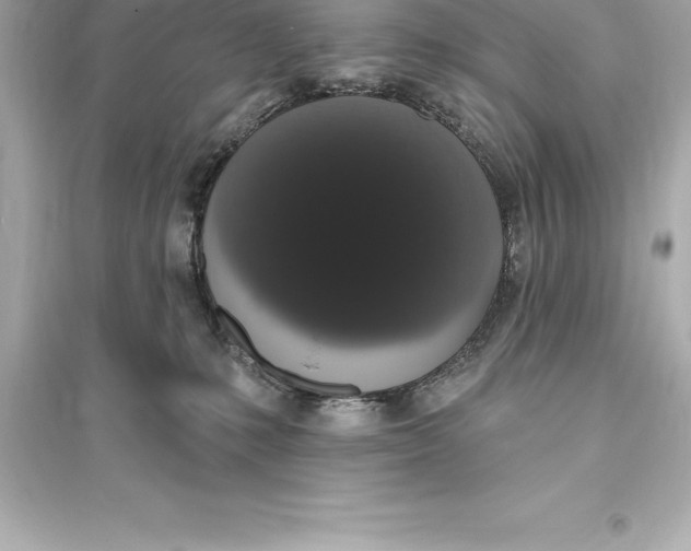 X0000093620231200711121243