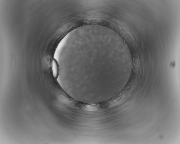 X0000093620232200711121243