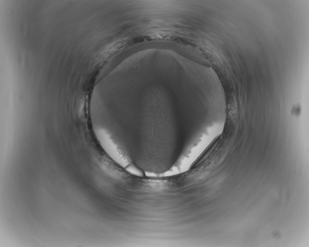 X0000093620233200711121243