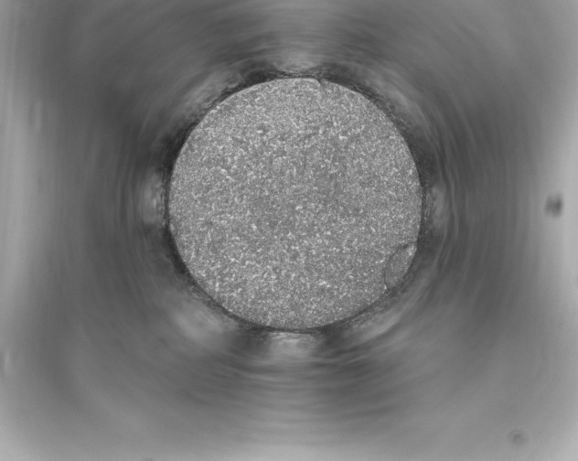 X0000093620234200711121243