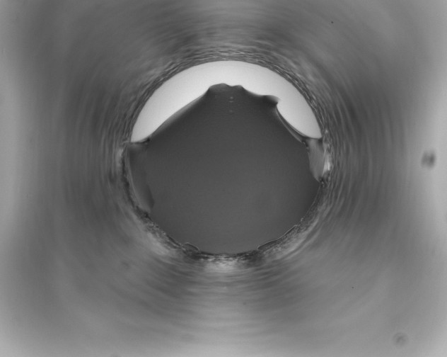 X0000093620235200711121243