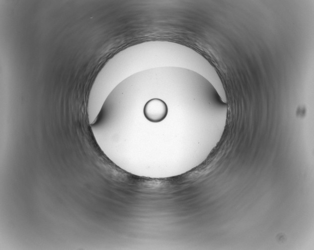 X0000093620237200711121243