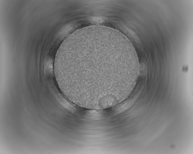 X0000093620238200711121243