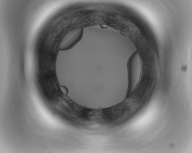 X0000093620239200711121243