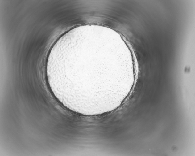 X0000093620241200711121242