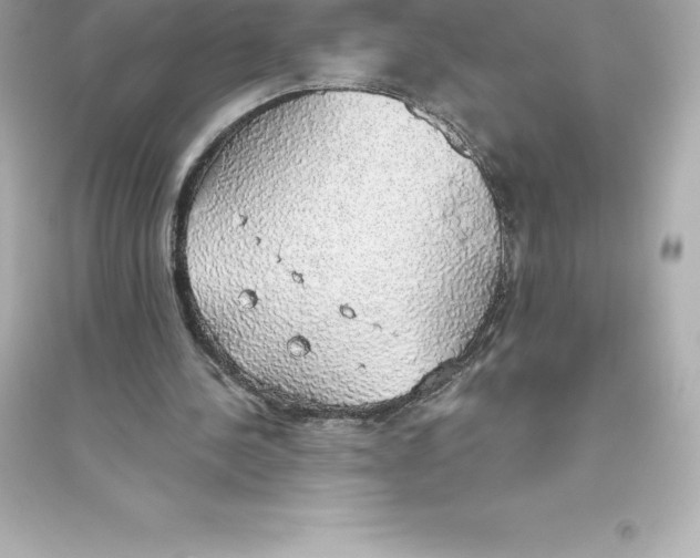 X0000093620244200711121242