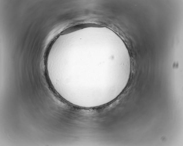 X0000093620245200711121242