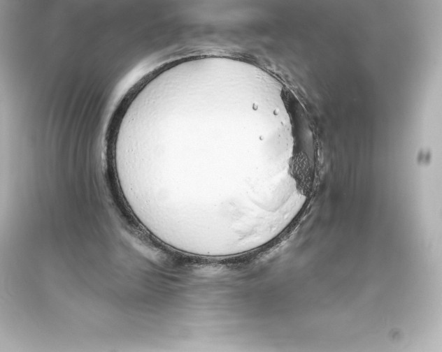 X0000093620246200711121242