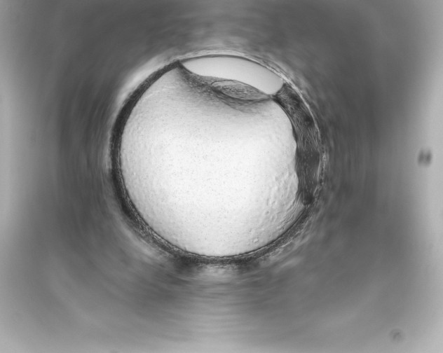 X0000093620248200711121242