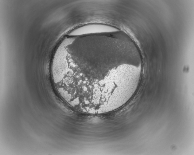 X0000093620249200711121242