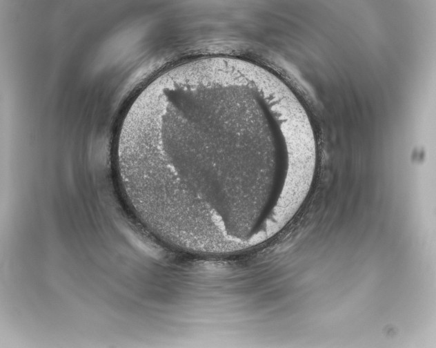 X0000093620250200711121242