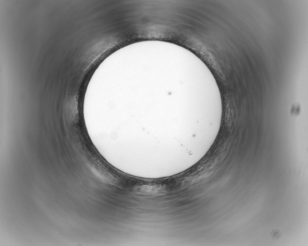 X0000093620251200711121242