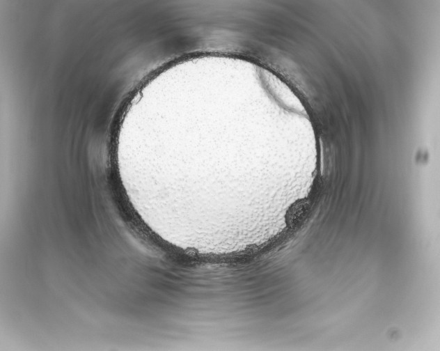 X0000093620252200711121242