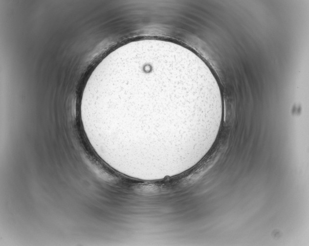 X0000093620253200711121242