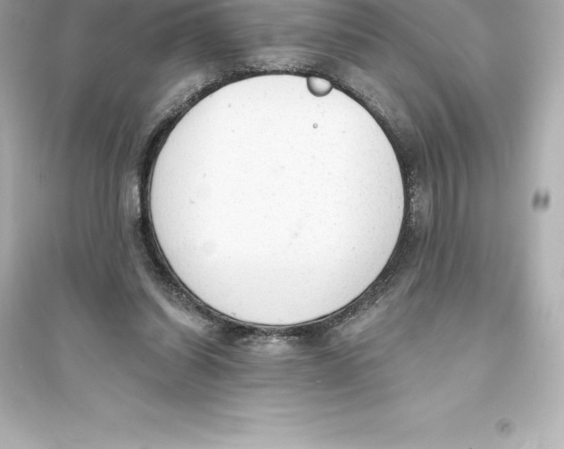 X0000093620254200711121242