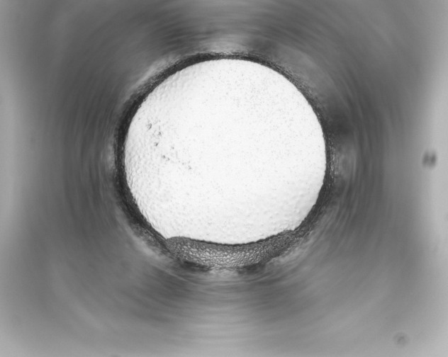 X0000093620256200711121242