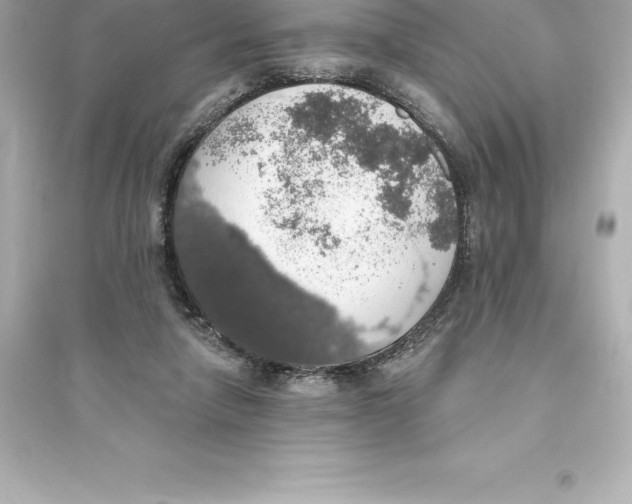 X0000093620258200711121243