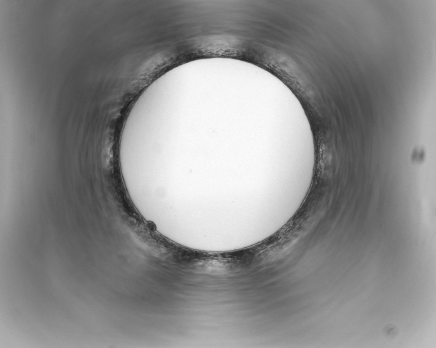 X0000093620259200711121243