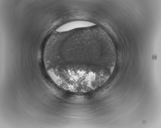 X0000093620260200711121243