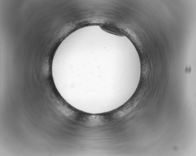 X0000093620261200711121243