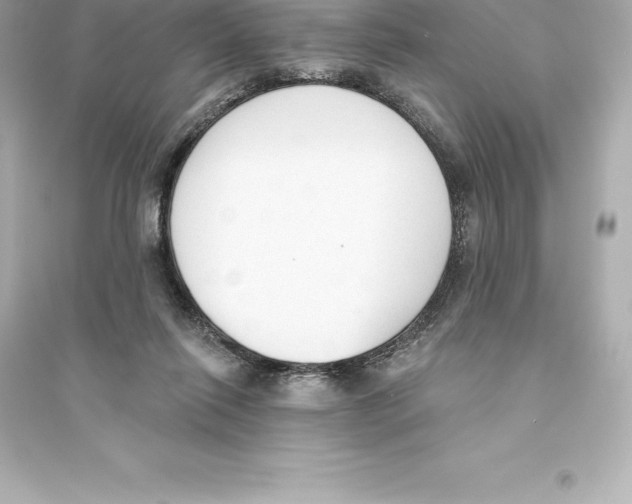 X0000093620262200711121243