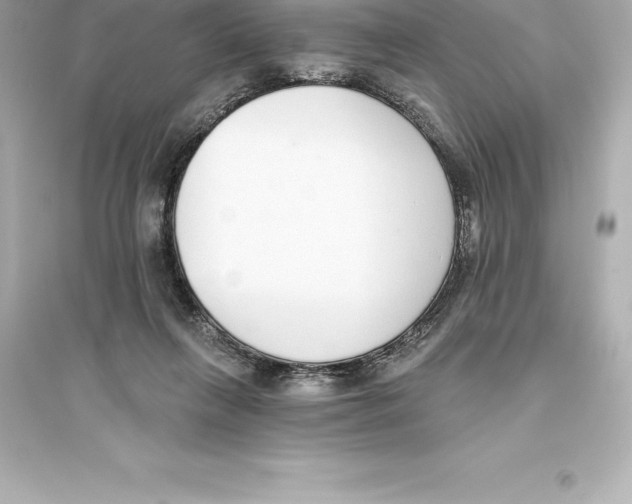 X0000093620263200711121243