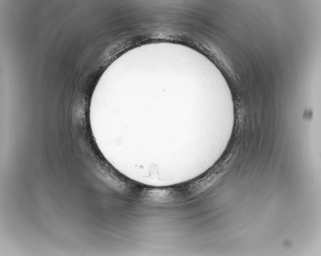 X0000093620265200711121243