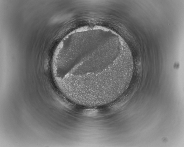 X0000093620266200711121243