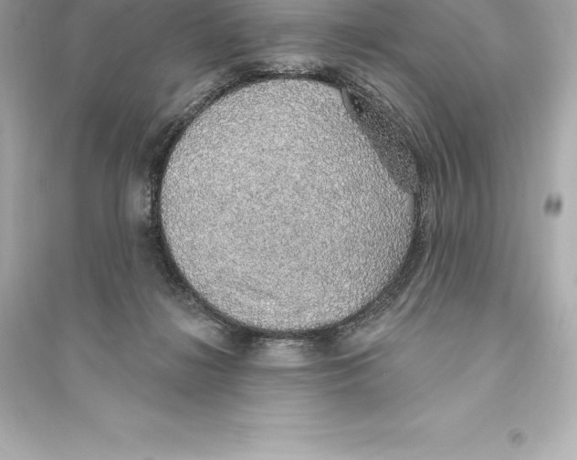 X0000093620268200711121243